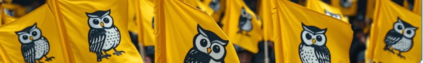 Intelligence record 356