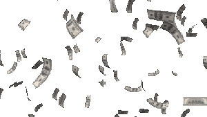 Intelligence record 1048